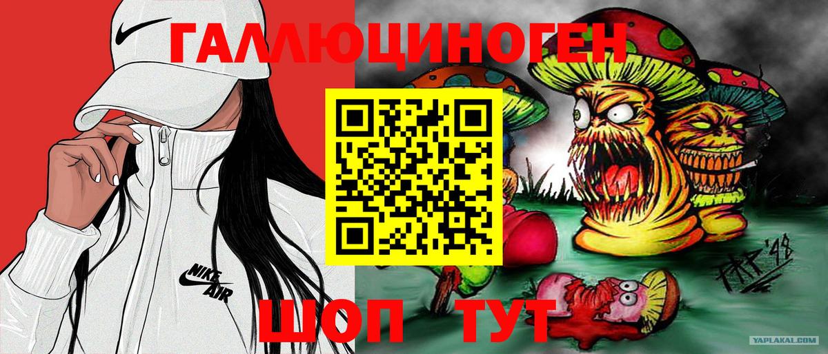 Псилоцибиновые грибы Psilocybe Глазов