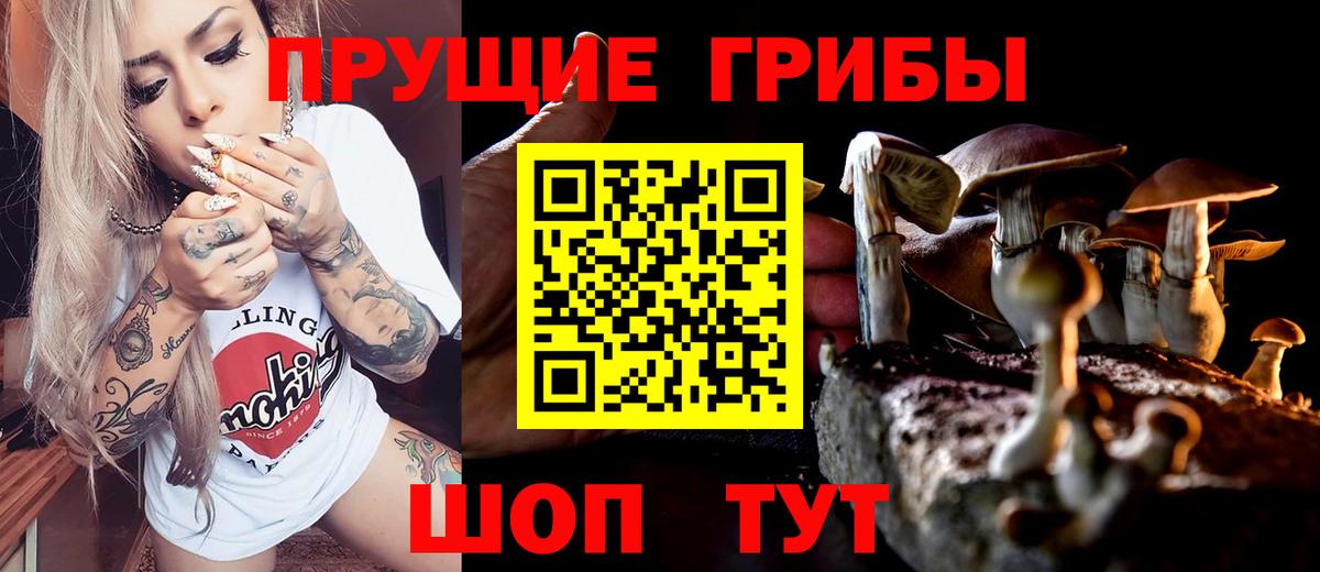 купить наркоту  Псилоцибиновые грибы Magic Shrooms  Вход с VPN  Глазов 
